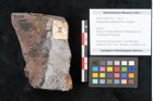 Foto (Objekt + Etikett) von Noeggerathia palmaeformis Goeppert (NHMW-GEO-2024-0188-10751)